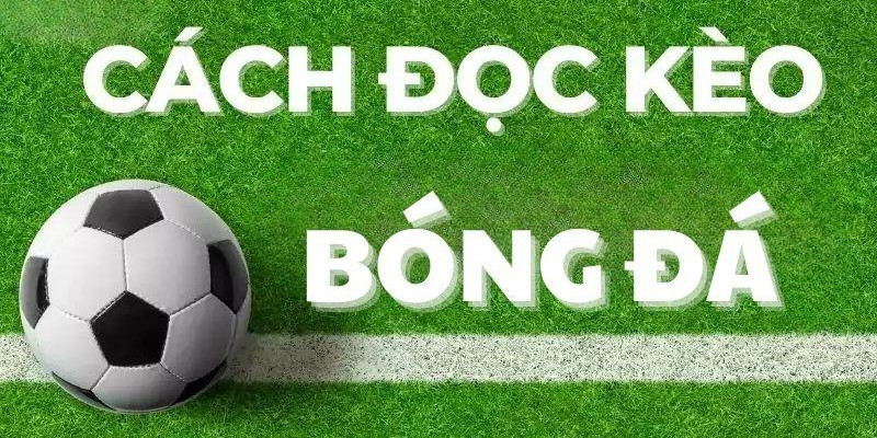 Cách Đọc Kèo Bóng Đá Chuẩn Nhất Cho Anh Em Tân Thủ